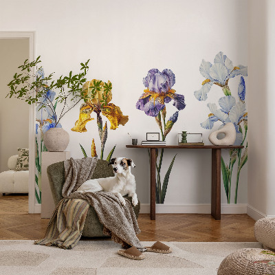 Vliesová fototapeta do obýváků Květy kosatců