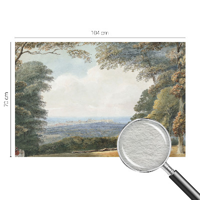 Fototapeta na míru do obýváku Zalesněná krajina