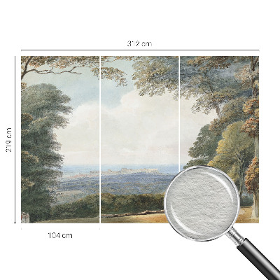 Fototapeta na míru do obýváku Zalesněná krajina