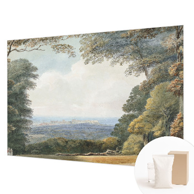 Fototapeta na míru do obýváku Zalesněná krajina