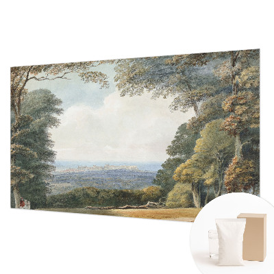 Fototapeta na míru do obýváku Zalesněná krajina