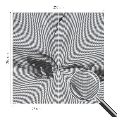 Fototapeta do obýváku Hypnotické ruce