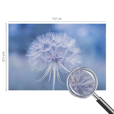 Fotografická tapeta vliesová Modrá pochoutka