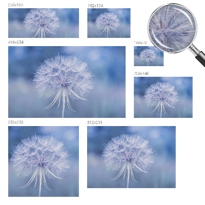 Fotografická tapeta vliesová Modrá pochoutka