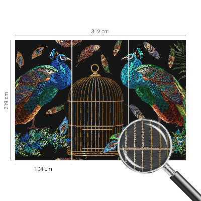 Fototapeta na zeď Obrázek páva