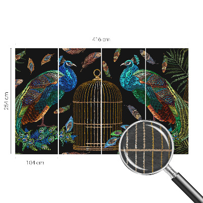 Fototapeta na zeď Obrázek páva