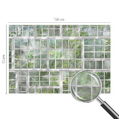 Fototapeta na zeď Zelený les