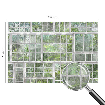 Fototapeta na zeď Zelený les