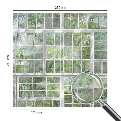 Fototapeta na zeď Zelený les