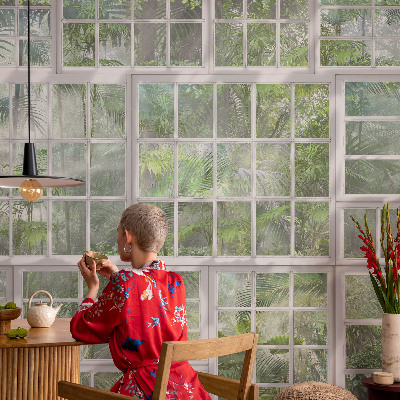 Fototapeta na zeď Zelený les