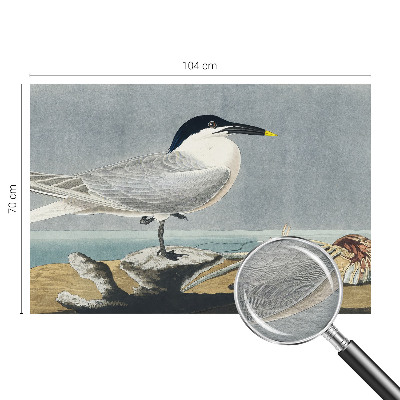 Fototapeta do ložnice Ornitologická elegance