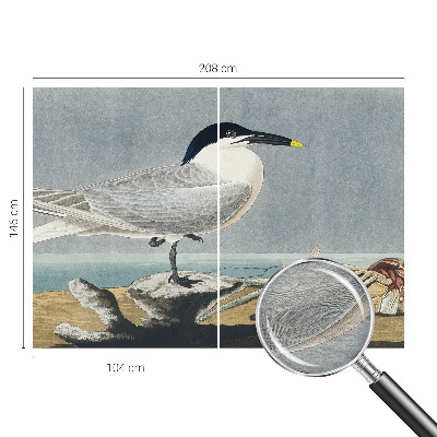 Fototapeta do ložnice Ornitologická elegance