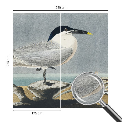 Fototapeta do ložnice Ornitologická elegance