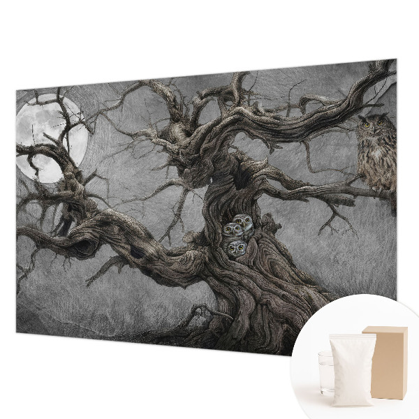Fototapeta na míru do obýváku Tajemná sova
