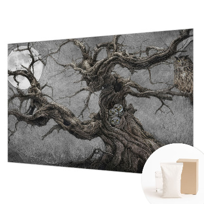 Fototapeta na míru do obýváku Tajemná sova