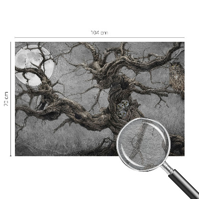 Fototapeta na míru do obýváku Tajemná sova