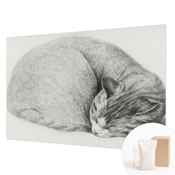 3D fototapeta Stočená kočka