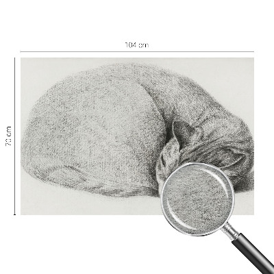 3D fototapeta Stočená kočka