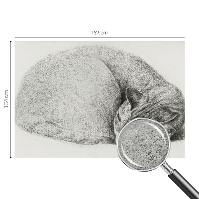 3D fototapeta Stočená kočka