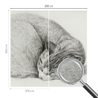 3D fototapeta Stočená kočka