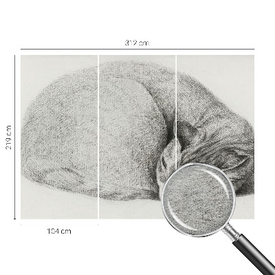 3D fototapeta Stočená kočka