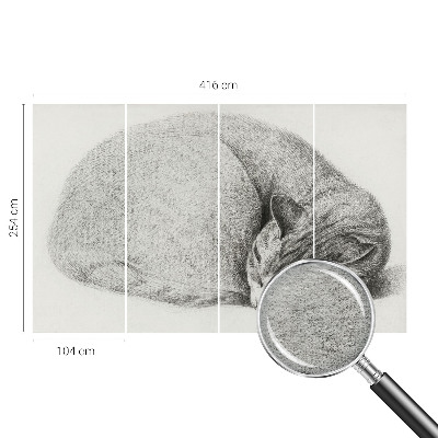 3D fototapeta Stočená kočka