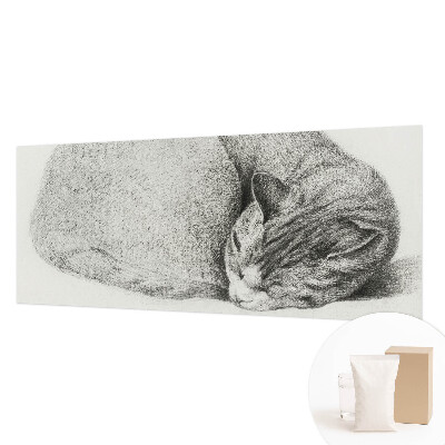 3D fototapeta Stočená kočka