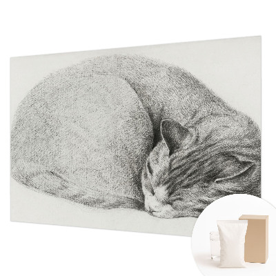 3D fototapeta Stočená kočka