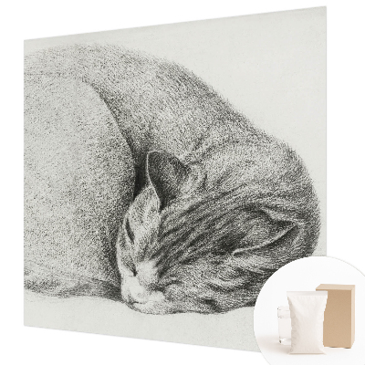 3D fototapeta Stočená kočka