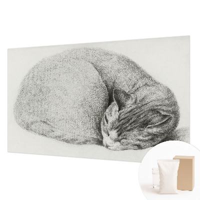 3D fototapeta Stočená kočka