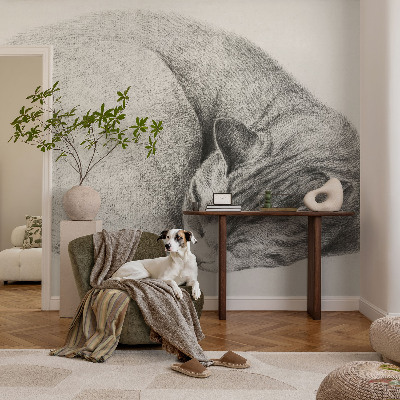 3D fototapeta Stočená kočka