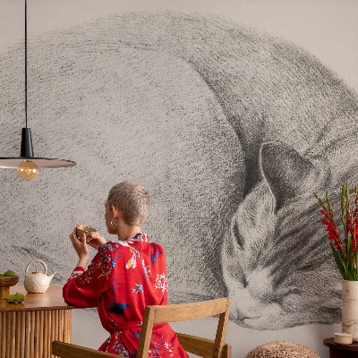 3D fototapeta Stočená kočka