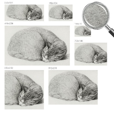 3D fototapeta Stočená kočka