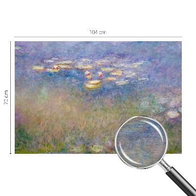 Vliesová fototapeta na zeď Lekníny