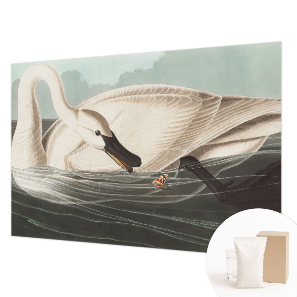 Fototapeta do ložnice Harmonie přírody