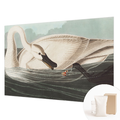 Fototapeta do ložnice Harmonie přírody