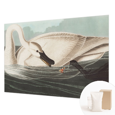 Fototapeta do ložnice Harmonie přírody