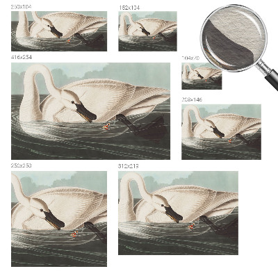 Fototapeta do ložnice Harmonie přírody