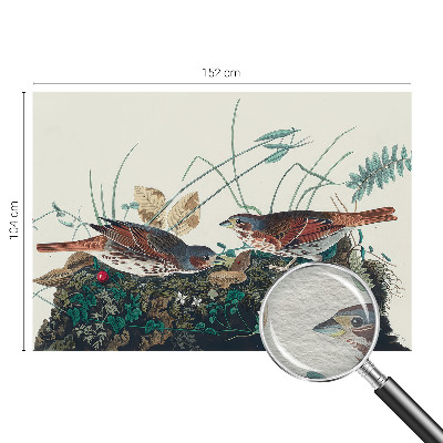 Vliesová fototapeta do obýváků Kouzlo přírody