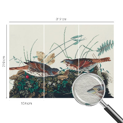 Vliesová fototapeta do obýváků Kouzlo přírody