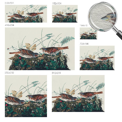 Vliesová fototapeta do obýváků Kouzlo přírody