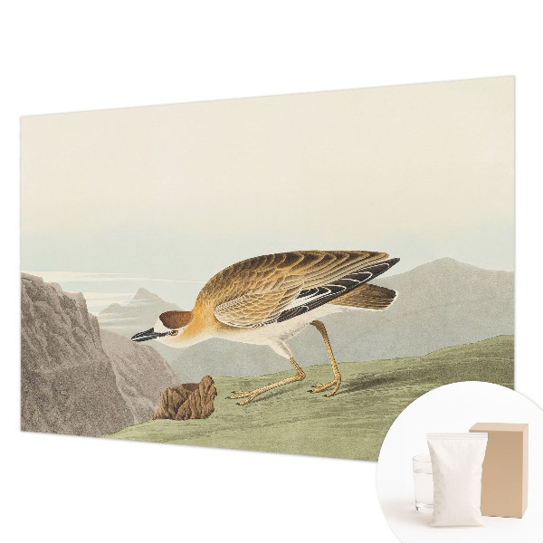 Vliesová fototapeta do ložnice Horský pták