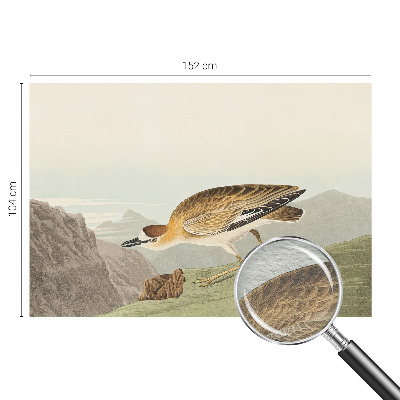 Vliesová fototapeta do ložnice Horský pták