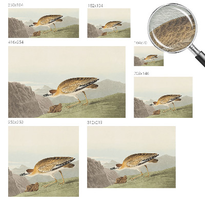 Vliesová fototapeta do ložnice Horský pták