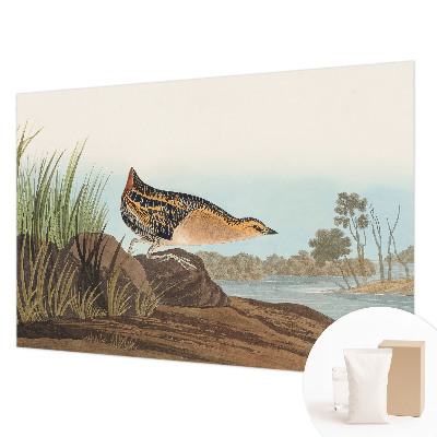 Vliesová fototapeta pro děti Přírodní scenérie