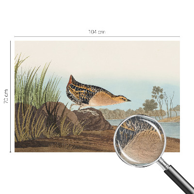 Vliesová fototapeta pro děti Přírodní scenérie