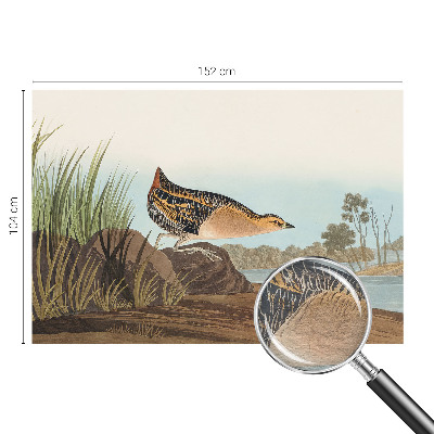 Vliesová fototapeta pro děti Přírodní scenérie