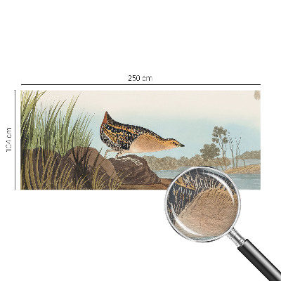 Vliesová fototapeta pro děti Přírodní scenérie