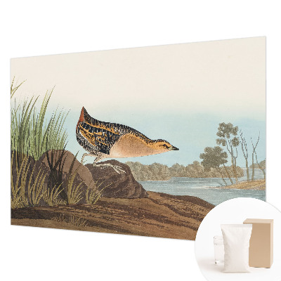 Vliesová fototapeta pro děti Přírodní scenérie