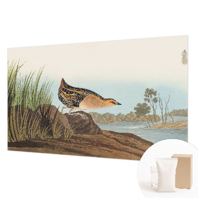 Vliesová fototapeta pro děti Přírodní scenérie